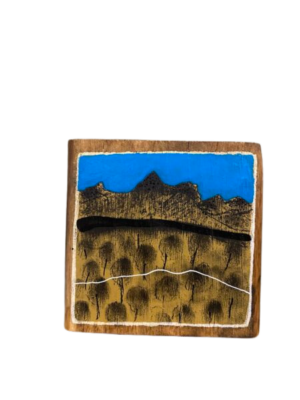 Olive grove at Krinklewood winery