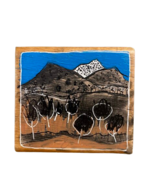 Olive grove at Krinklewood winery