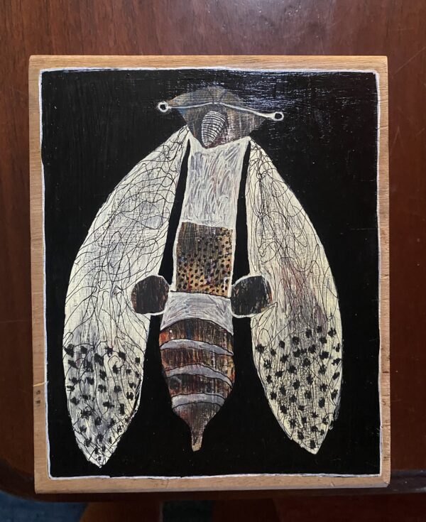 CICADA #2 - Image 2