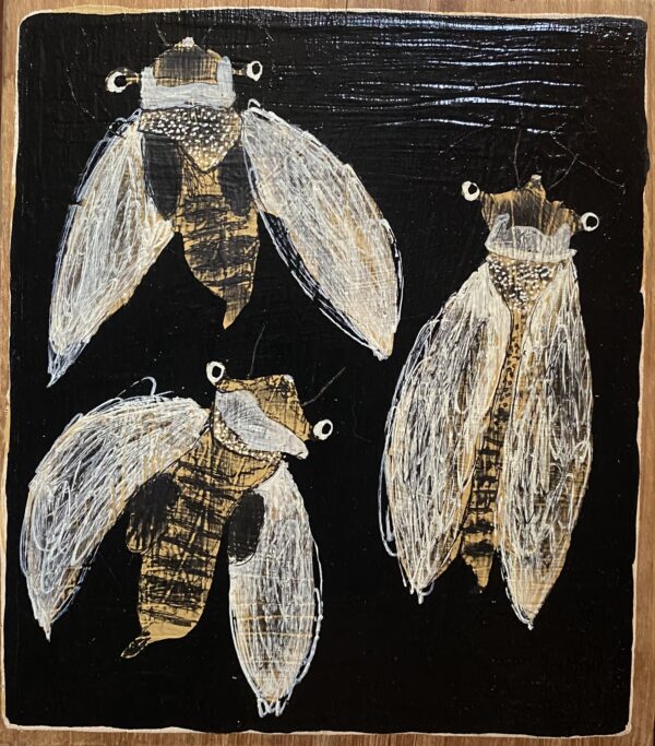 CICADA HEAVEN #3