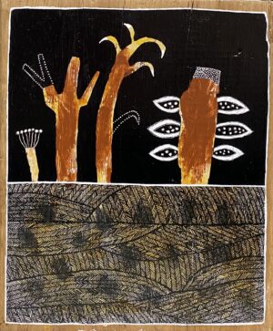 " Banksia on sandstone bed"