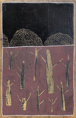 "Visiting Katoomba"