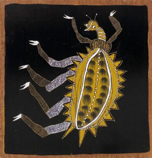 " Broad Back Weevil"
