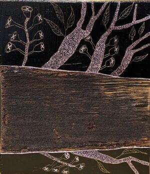 " Fallen Gum Tree"