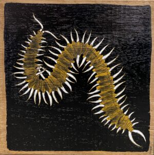 " Centipede"