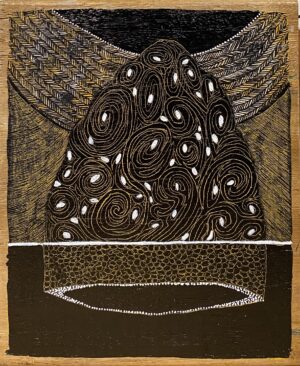 " Termite Mount with black Sky"