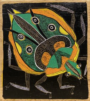 " Green Jewel Bug"